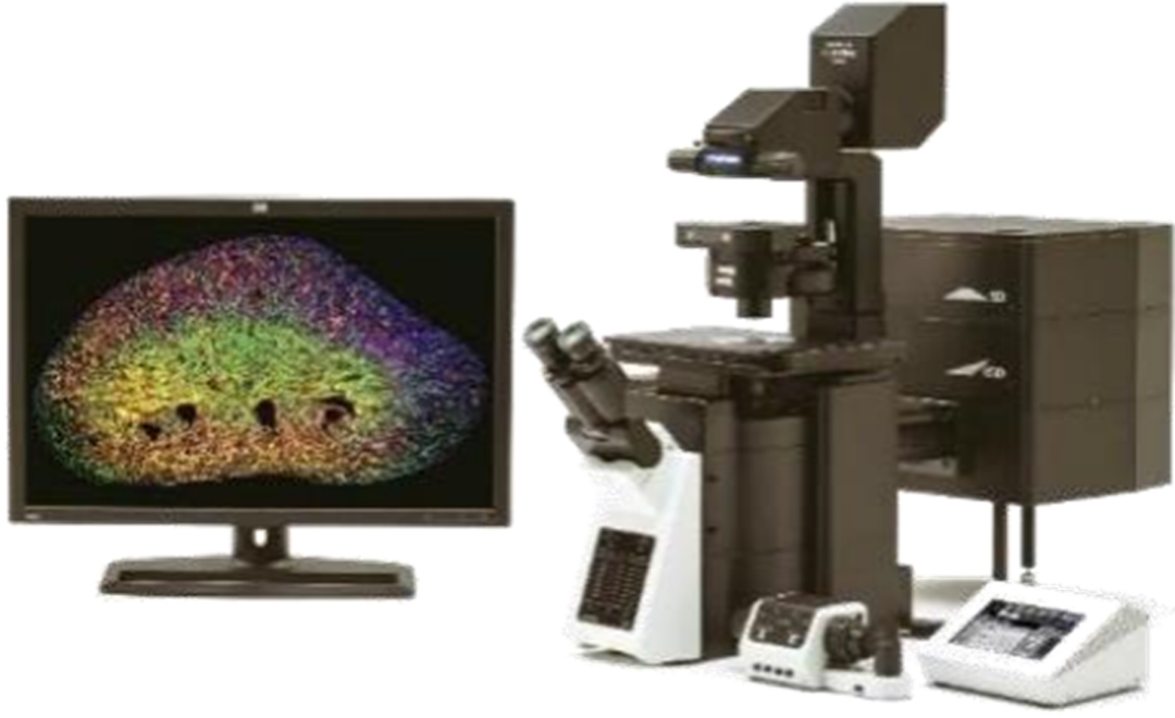 正置/倒置激光共聚焦显微镜