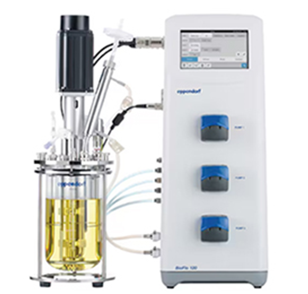 台式玻璃生物反应器