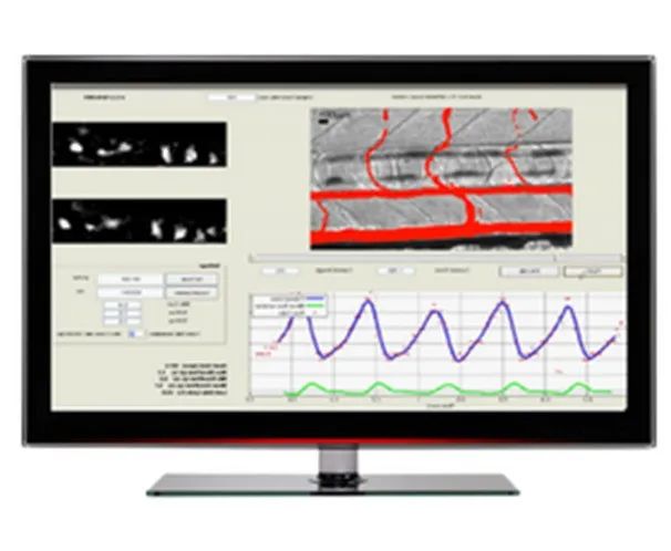 斑马鱼血流分析系统（Viewpoint / Zebralab）