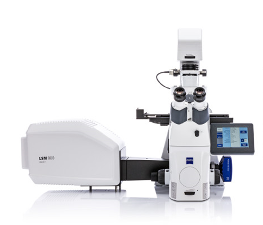 LSM900激光扫描共聚焦显微镜
