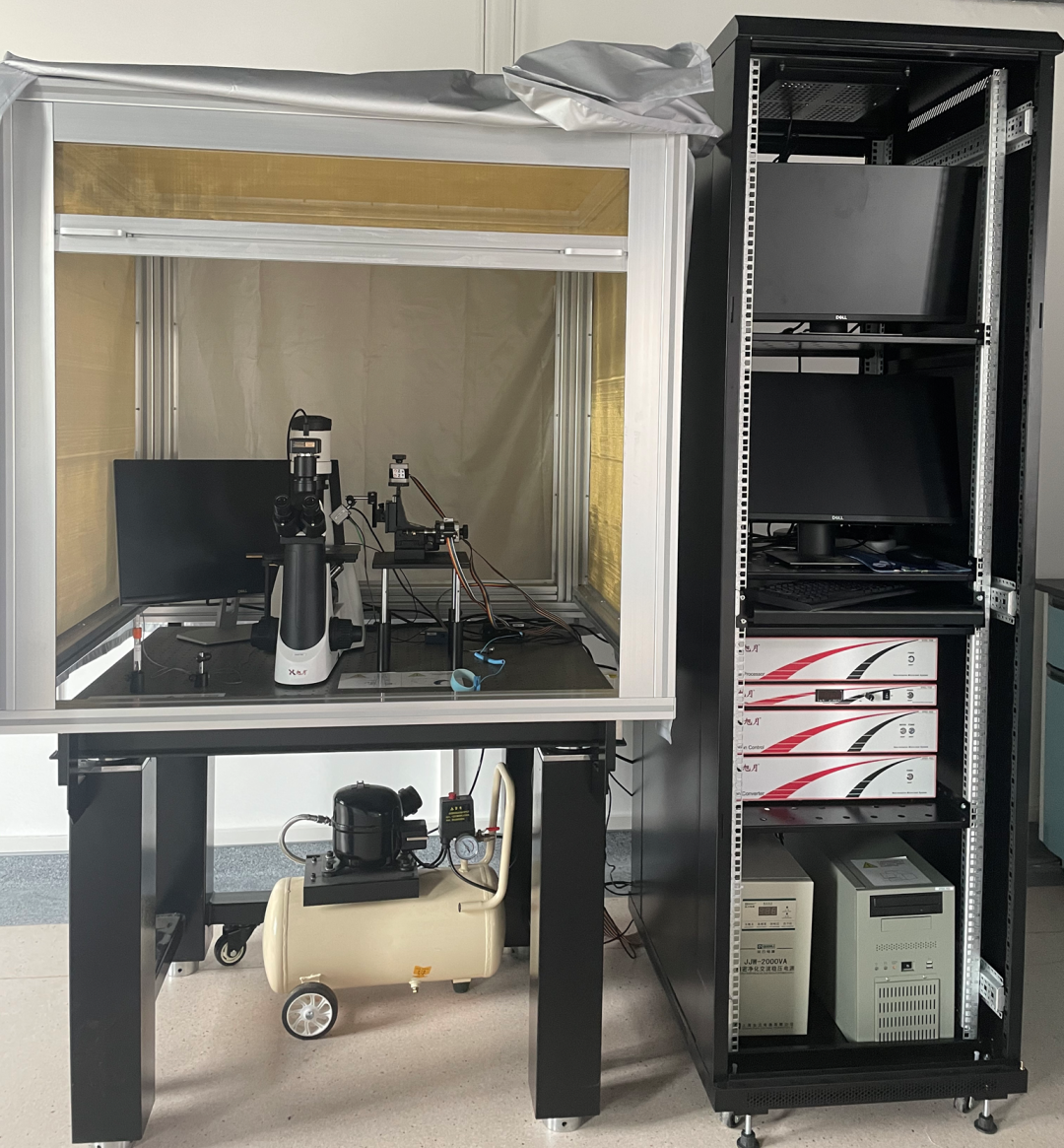 非损伤微测系统