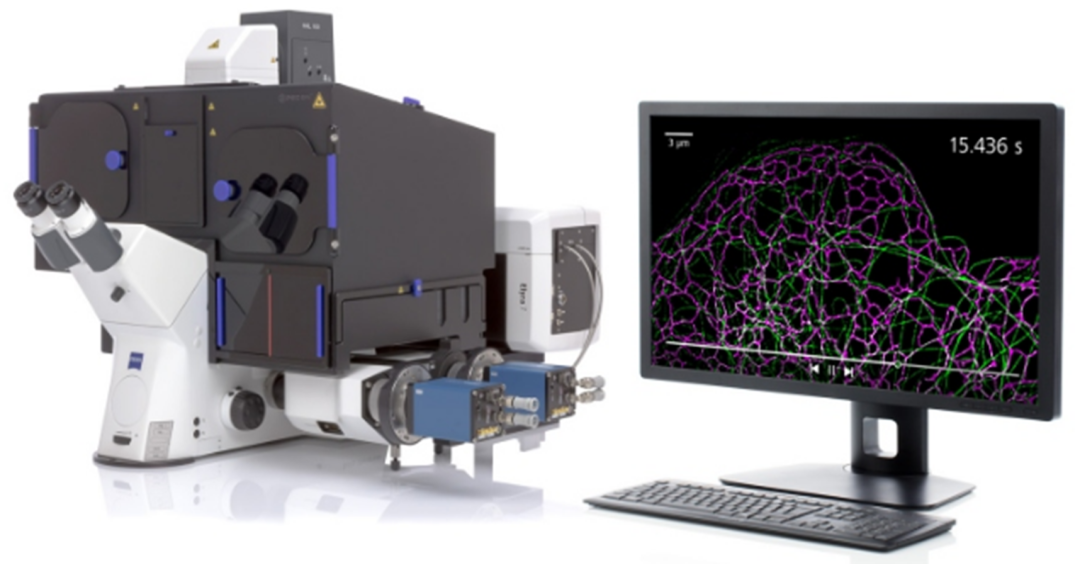 活细胞3D超高分辨率显微系统