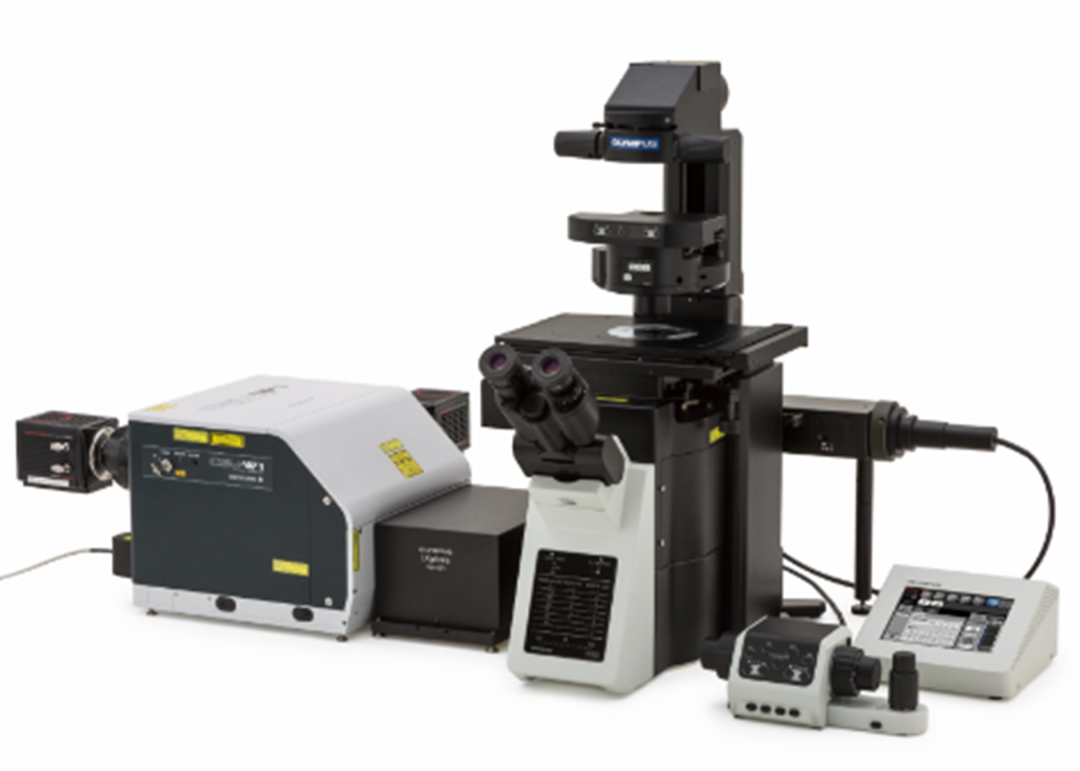 活细胞超高分辨转盘共聚焦系统