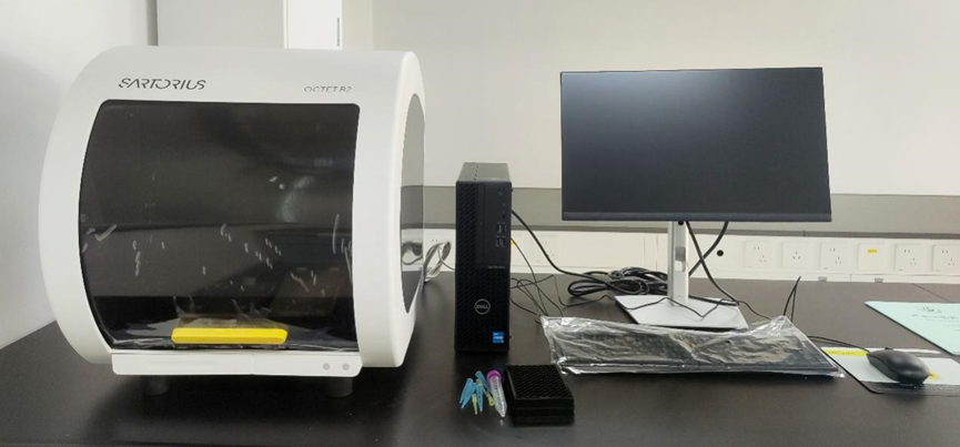 生物层干涉作用分析仪（Sartorius Octet R2）